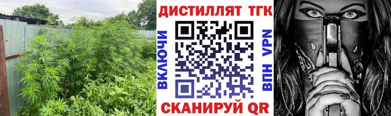 ссылка на мегу онион  купить наркоту  Хадыженск  ТГК THC oil 