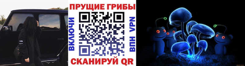 площадка наркотические препараты  МЕГА как войти  Хадыженск  Псилоцибиновые грибы мицелий 