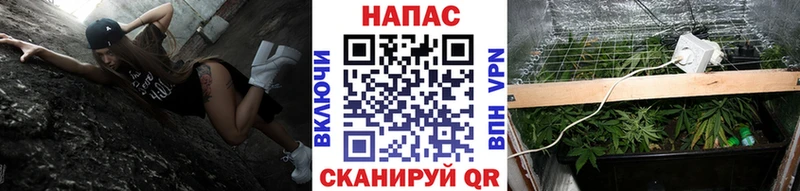 где продают наркотики  Хадыженск  Канабис OG Kush 